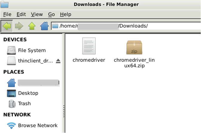 Downloading ChromeDriver