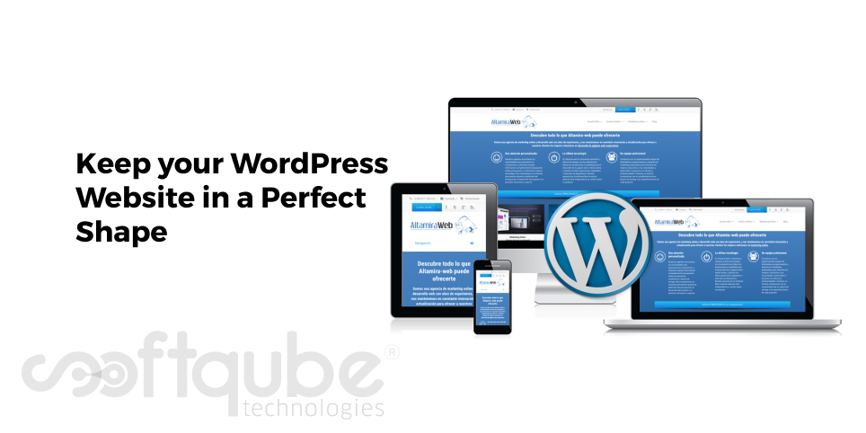 Keep your WordPress Website in a Perfect Shape