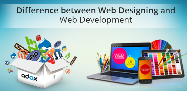 Difference Between Web Design & Development